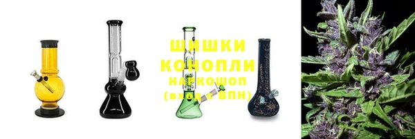 PSILOCYBIN Майский