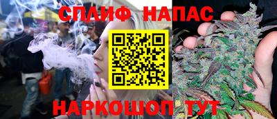 индика Ирбит