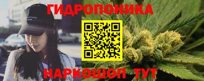 тгк Канаш