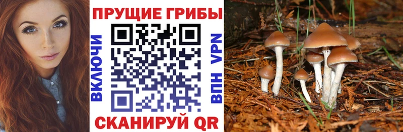 Галлюциногенные грибы прущие грибы  цена   Сочи 