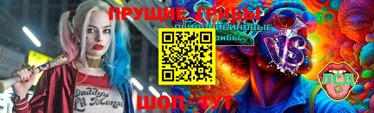 продажа наркотиков  Вход с VPN  Сочи  Галлюциногенные грибы Psilocybine cubensis 